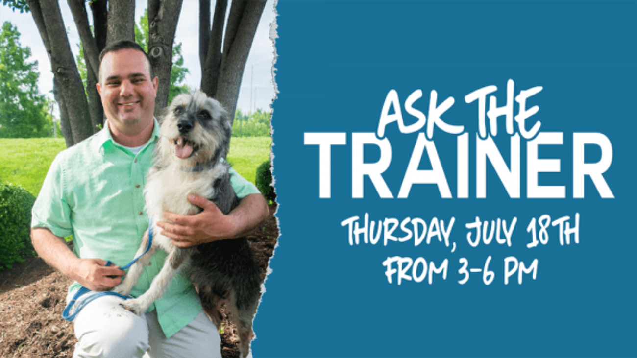 ask-the-trainer-july-18-SMALL-600x337