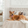 pet-friendly-hotel-for-dogs-in-stlouis-mo