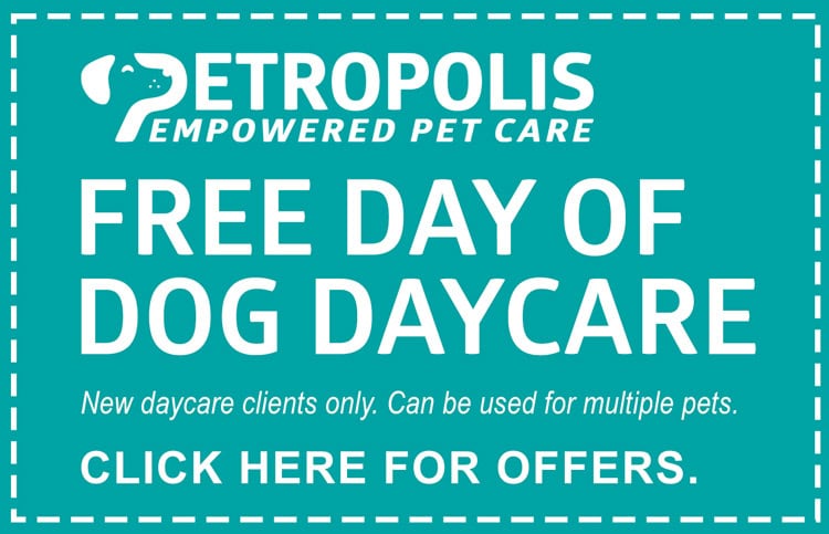 Free Day of Dog Daycare. New daycare clients only. Can be used for multiple pets. Click here for offers.