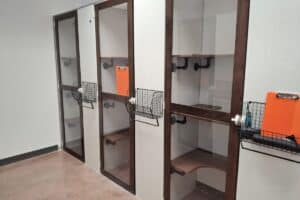 Cat Boarding Facility