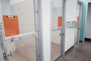 Dog Boarding Kennels