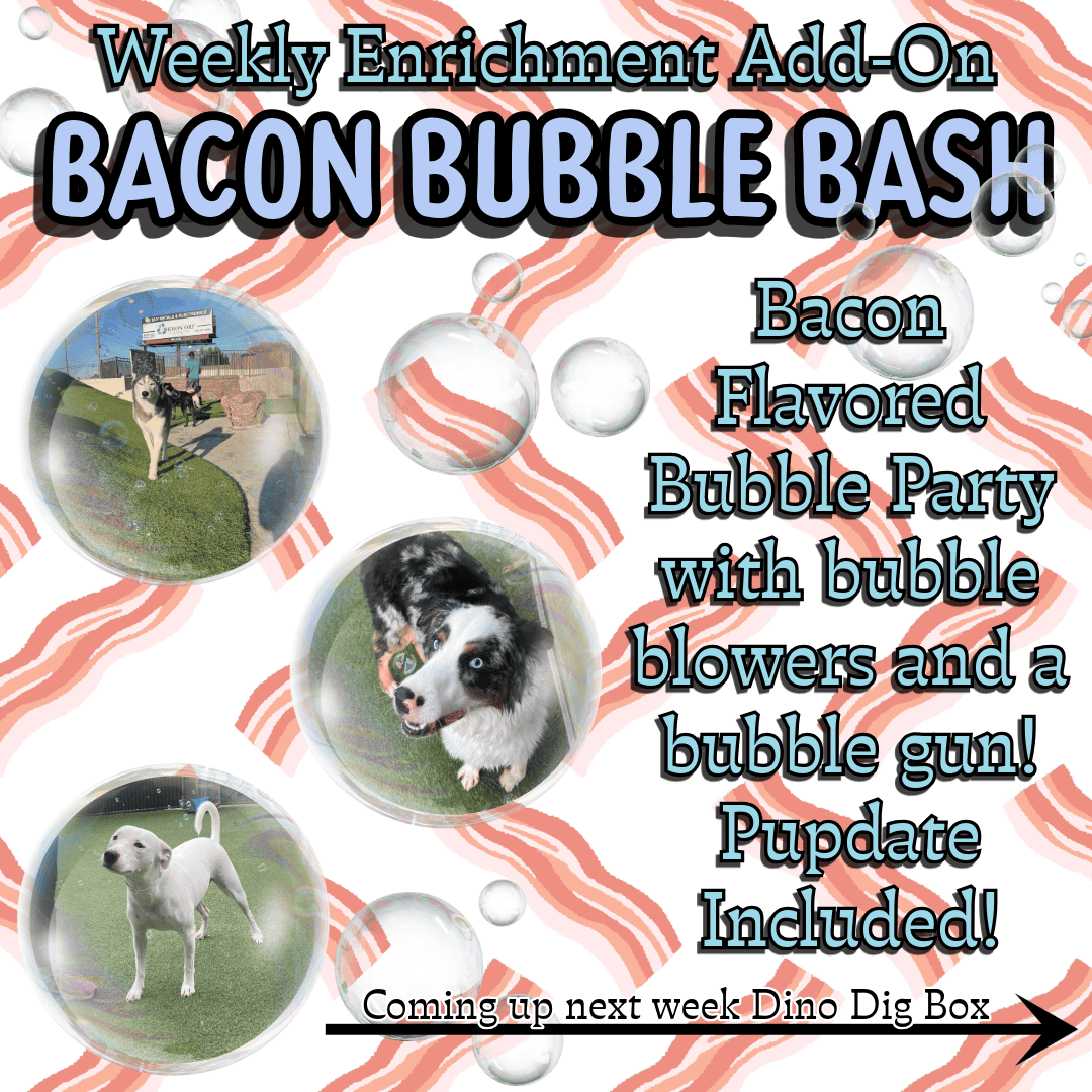 Add-On: Bacon Bubble Bash. Add to any day or stay for $29. Flavored Bubble Party with bubble blowers and bubble gun! Pupdate included!