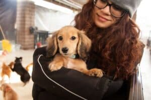 Expert Dog Daycare Staff