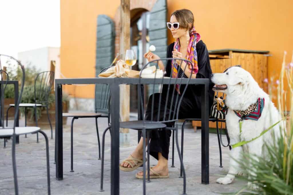 pet friendly restaurants in st charles missouri