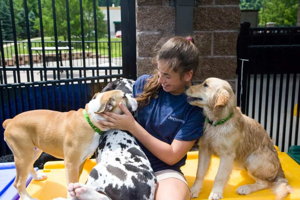 signs that doggy daycares are safe