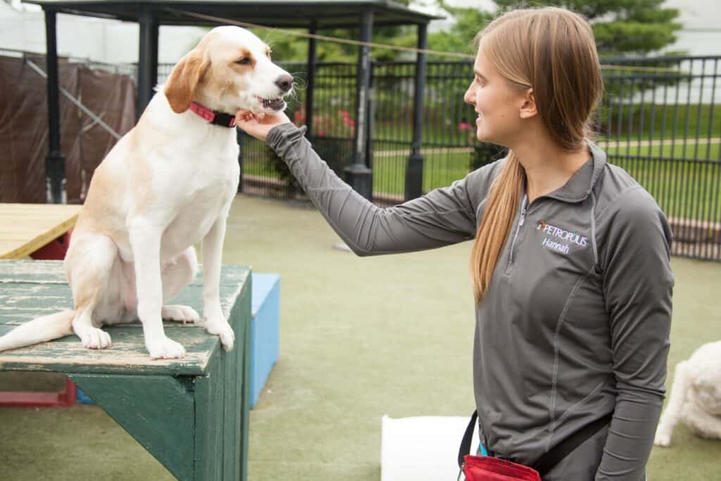 pet care staff with certifications