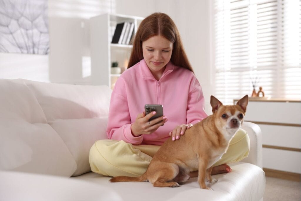 how petropolis uses updates to give clients peace of mind